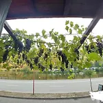호텔 Hatzenporter Paradies Hatzenport
