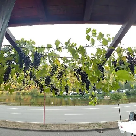 Hotel Hatzenporter Paradies Hatzenport