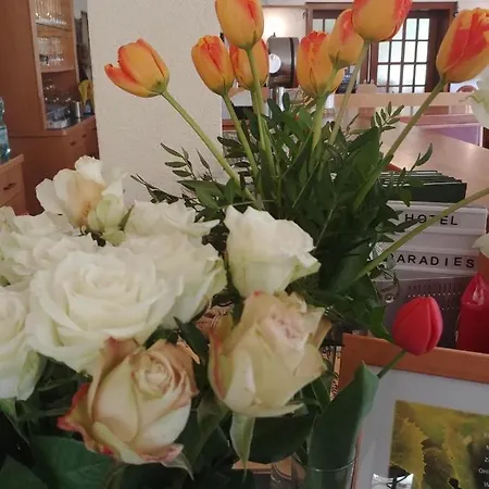 Hotel Hatzenporter Paradies