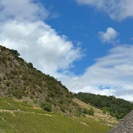 酒店 哈赛波特天堂酒店 Hatzenport