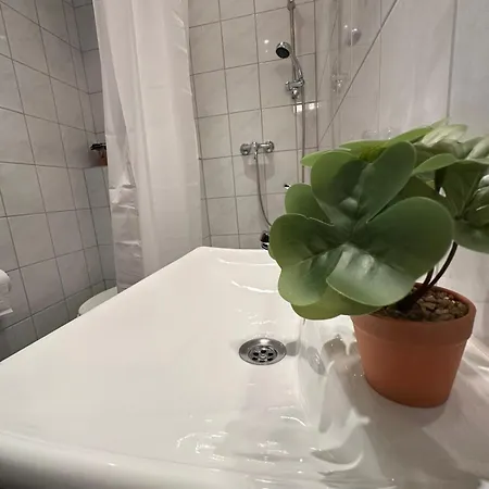 Hatzenporter Paradies *