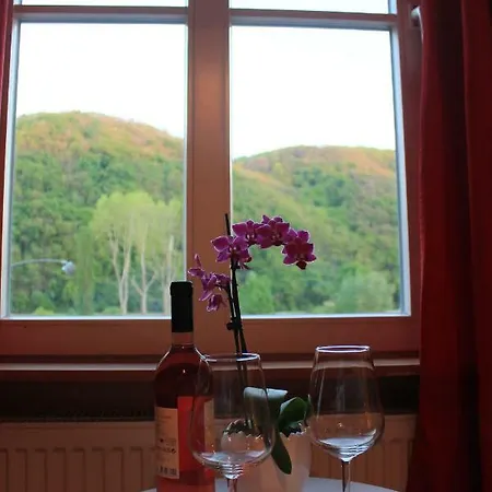 Hatzenporter Paradies Hotel Hatzenport