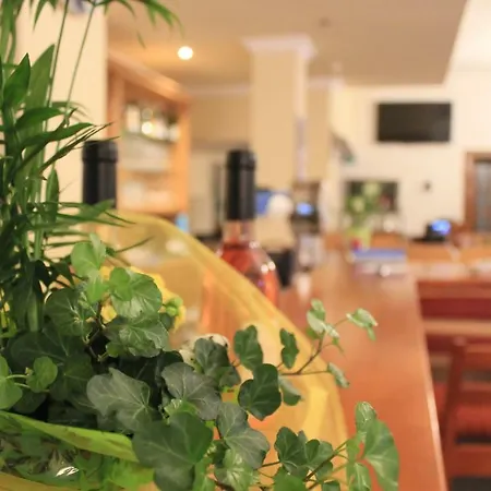 Hotel Hatzenporter Paradies