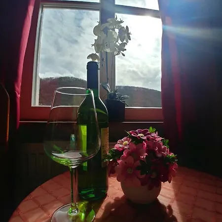 Hatzenporter Paradies *