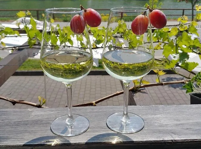 Hatzenporter Paradies Hotel *