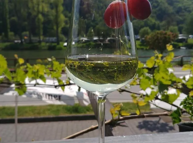 Hatzenporter Paradies Hatzenport