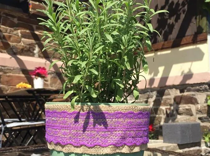 Hatzenporter Paradies Hatzenport