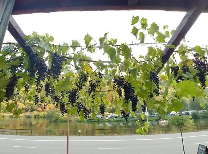 酒店 哈赛波特天堂酒店 Hatzenport