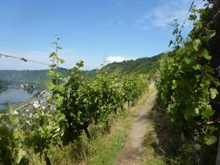 Hatzenporter Paradies Hatzenport