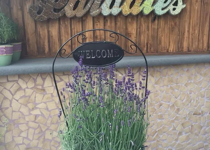 酒店 哈赛波特天堂酒店 Hatzenport