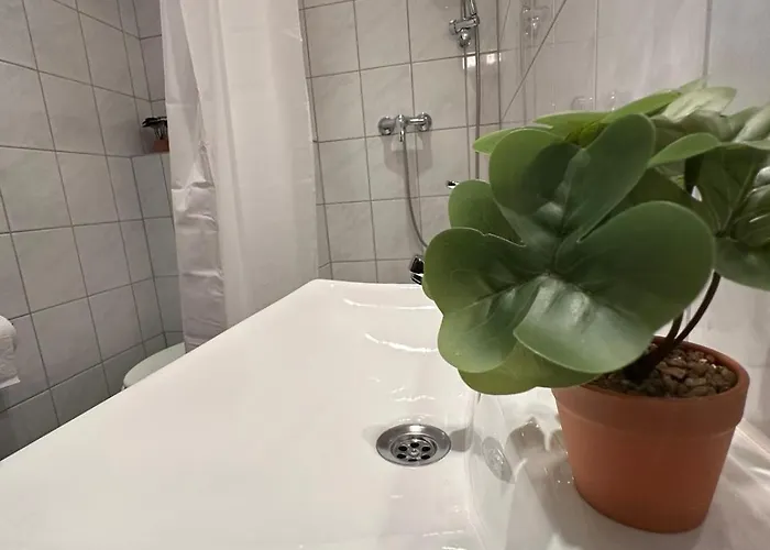 Hatzenporter Paradies *