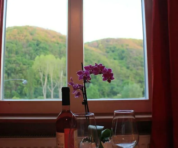 Hatzenporter Paradies Hotel Hatzenport