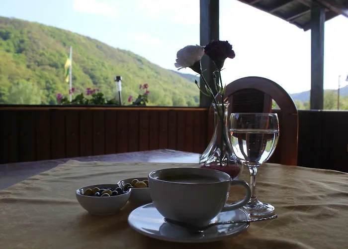 Hatzenporter Paradies *