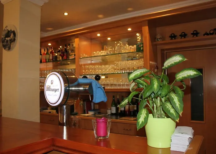 哈赛波特天堂酒店 酒店 Hatzenport