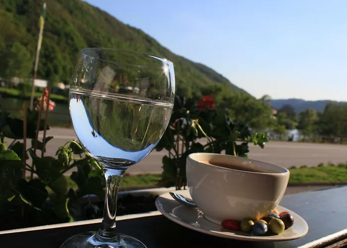 Hotel Hatzenporter Paradies Hatzenport