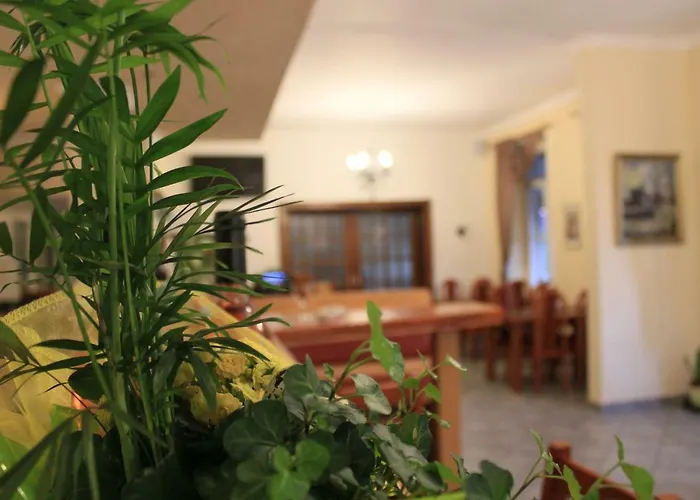 Hatzenporter Paradies