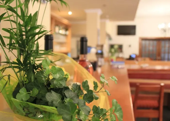 酒店 哈赛波特天堂酒店