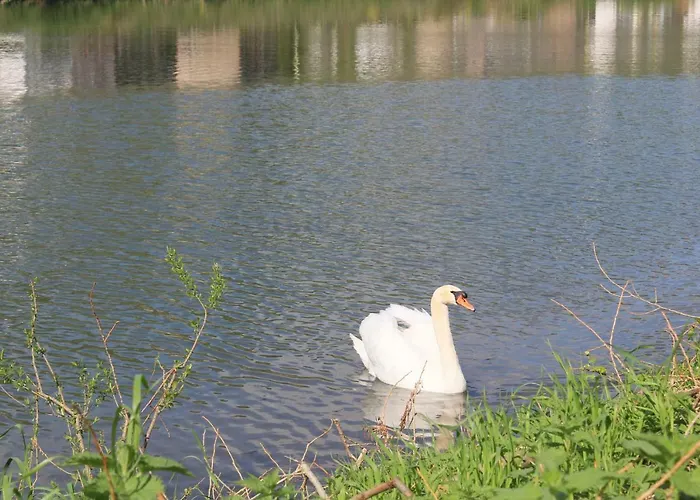 哈赛波特天堂酒店 酒店