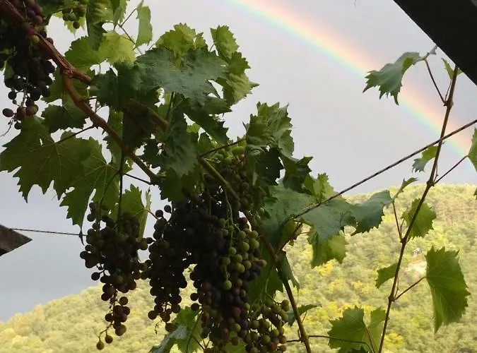 哈赛波特天堂酒店 酒店