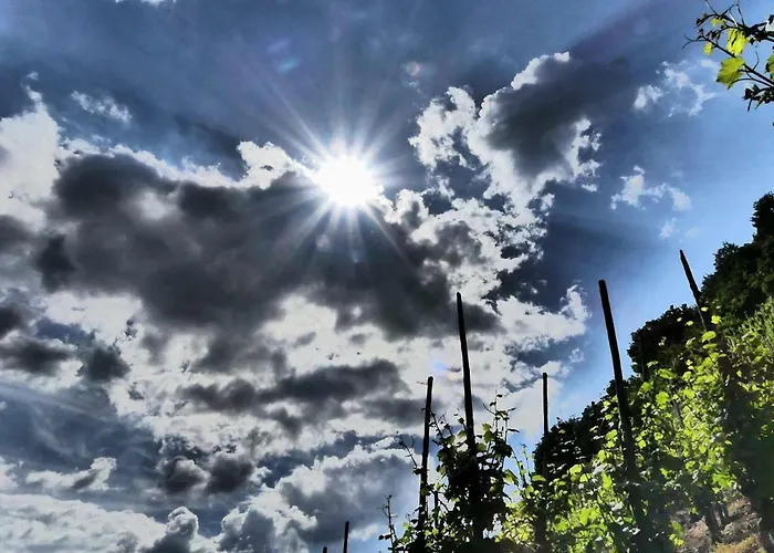 酒店 哈赛波特天堂酒店 Hatzenport