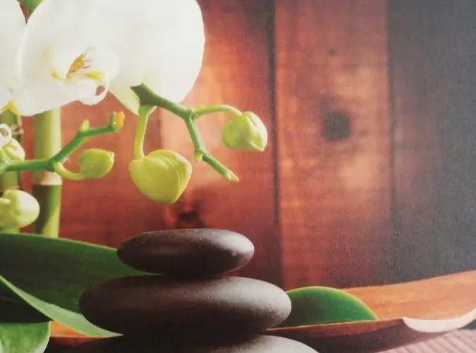 哈赛波特天堂酒店 * Hatzenport