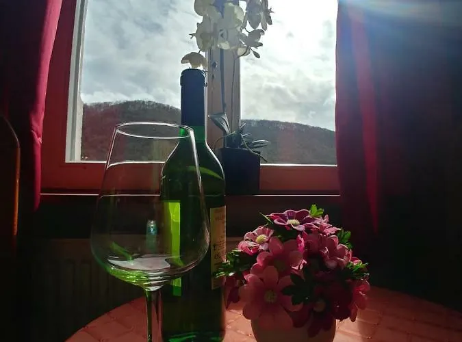 Hatzenporter Paradies *